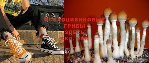 герыч Заволжск