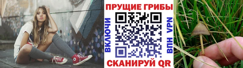 Псилоцибиновые грибы мухоморы  Купить  Дудинка 